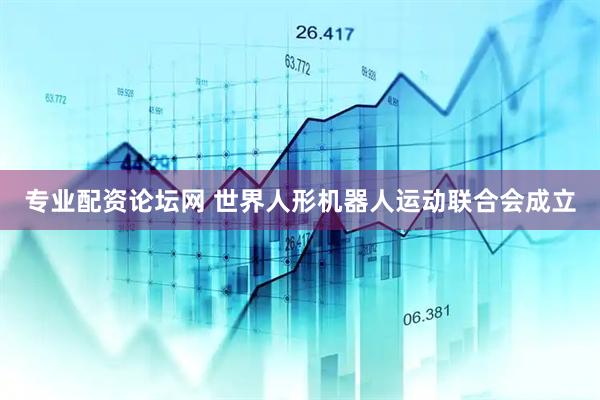 专业配资论坛网 世界人形机器人运动联合会成立