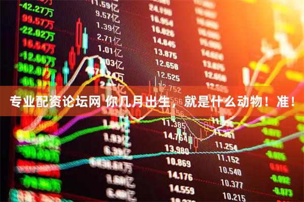 专业配资论坛网 你几月出生,就是什么动物!准!