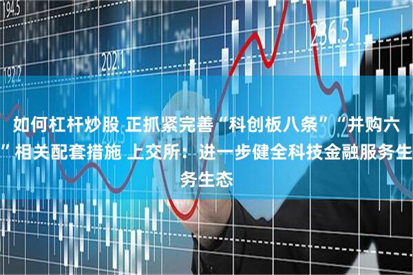 如何杠杆炒股 正抓紧完善“科创板八条”“并购六条”相关配套措施 上交所：进一步健全科技金融服务生态
