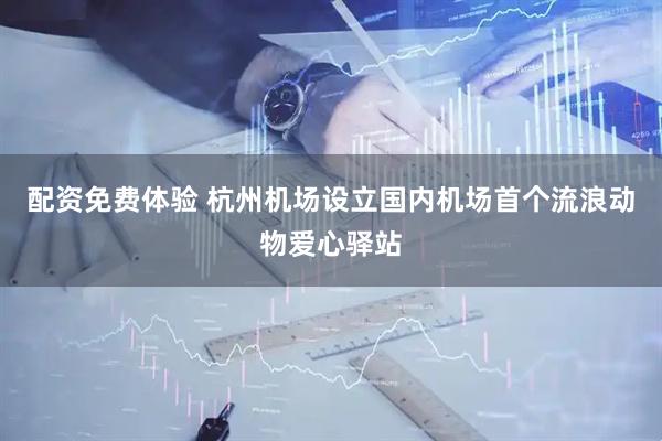 配资免费体验 杭州机场设立国内机场首个流浪动物爱心驿站