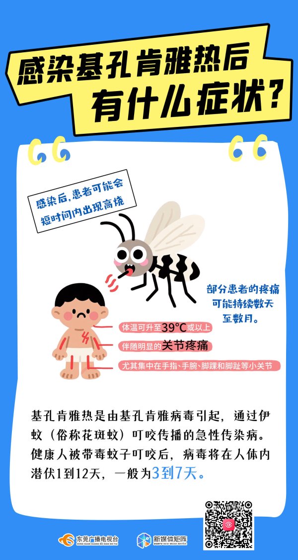 在线配资炒股 海报｜基孔肯雅热到底是什么“热”？如何预防？