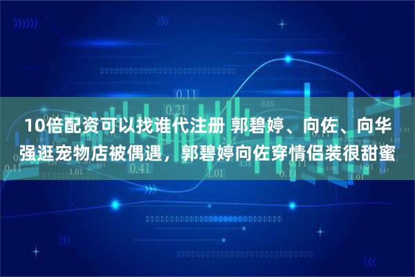 10倍配资可以找谁代注册 郭碧婷、向佐、向华强逛宠物店被偶遇，郭碧婷向佐穿情侣装很甜蜜